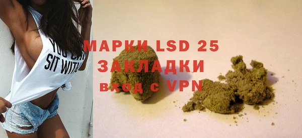 PSILOCYBIN Инсар