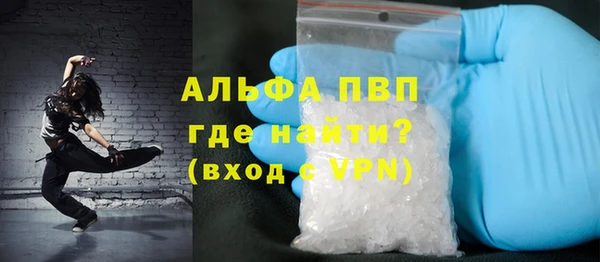 PSILOCYBIN Инсар