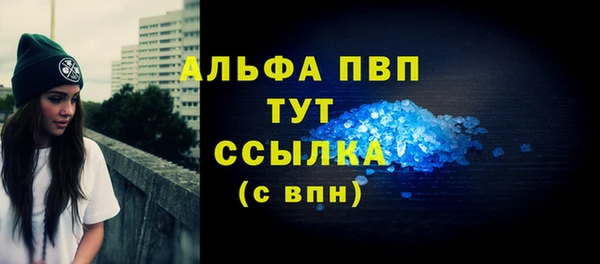 PSILOCYBIN Инсар