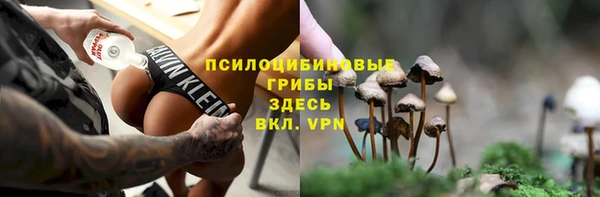 ПСИЛОЦИБИНОВЫЕ ГРИБЫ Инта