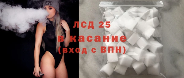 PSILOCYBIN Инсар