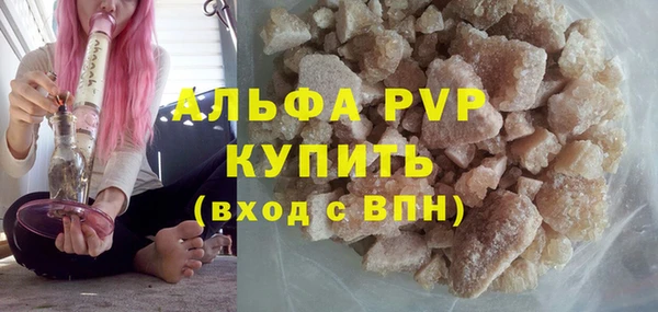 ПСИЛОЦИБИНОВЫЕ ГРИБЫ Инта