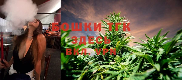 PSILOCYBIN Инсар