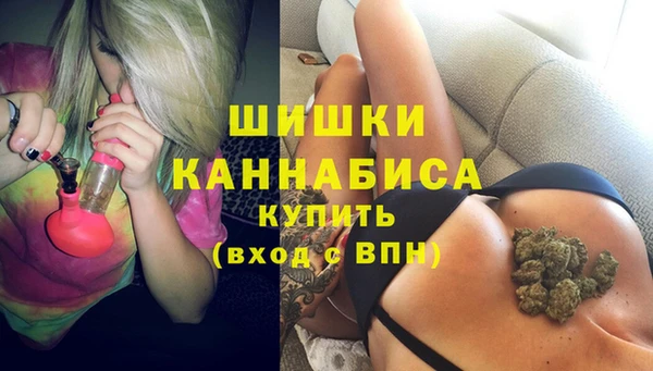 PSILOCYBIN Инсар