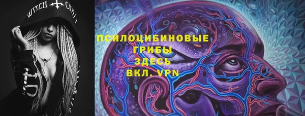 PSILOCYBIN Инсар